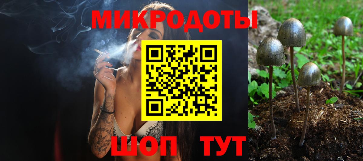 Галлюциногенные грибы Psilocybe  Галлюциногенные грибы мицелий  Вход с VPN  Магадан 